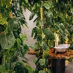 кузня зона та сніданки входять у вартість Hotel