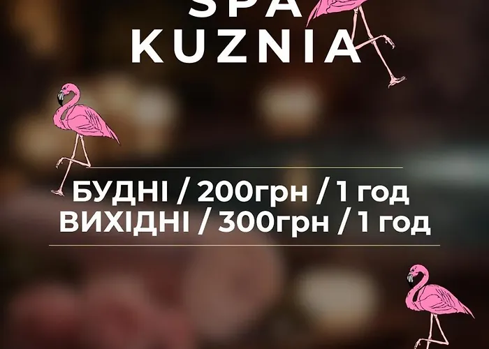 кузня зона та сніданки входять у вартість Mateyevtsy